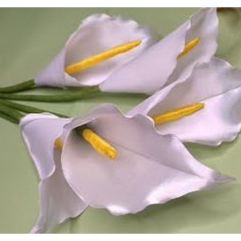 دسته گل عروس شیپوری روبانی